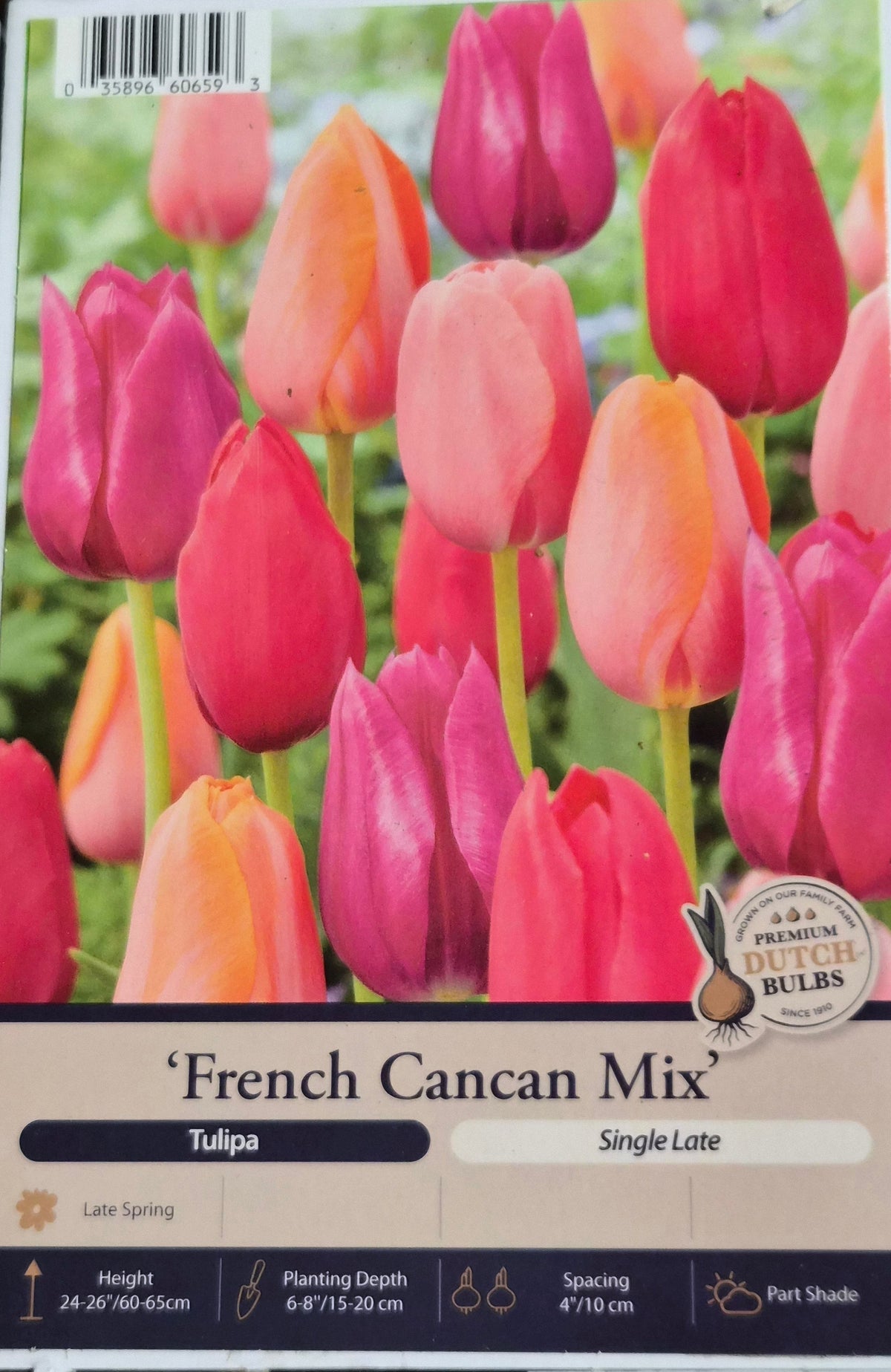Tulip - French Cancan Mix