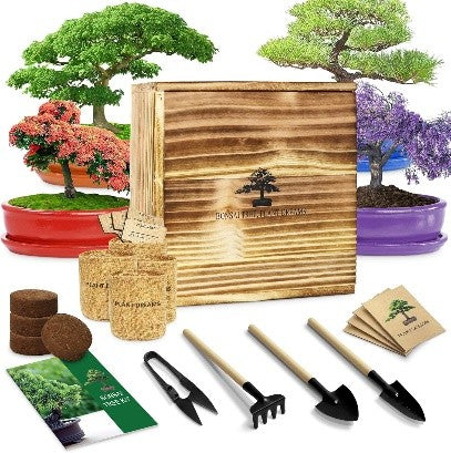 Starter Bonsai Grow Kit
